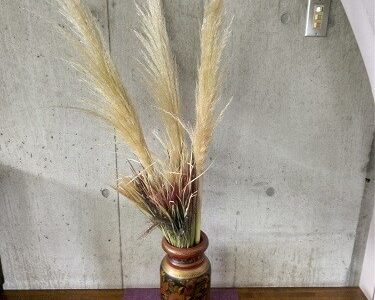 パンパスグラスと古代米